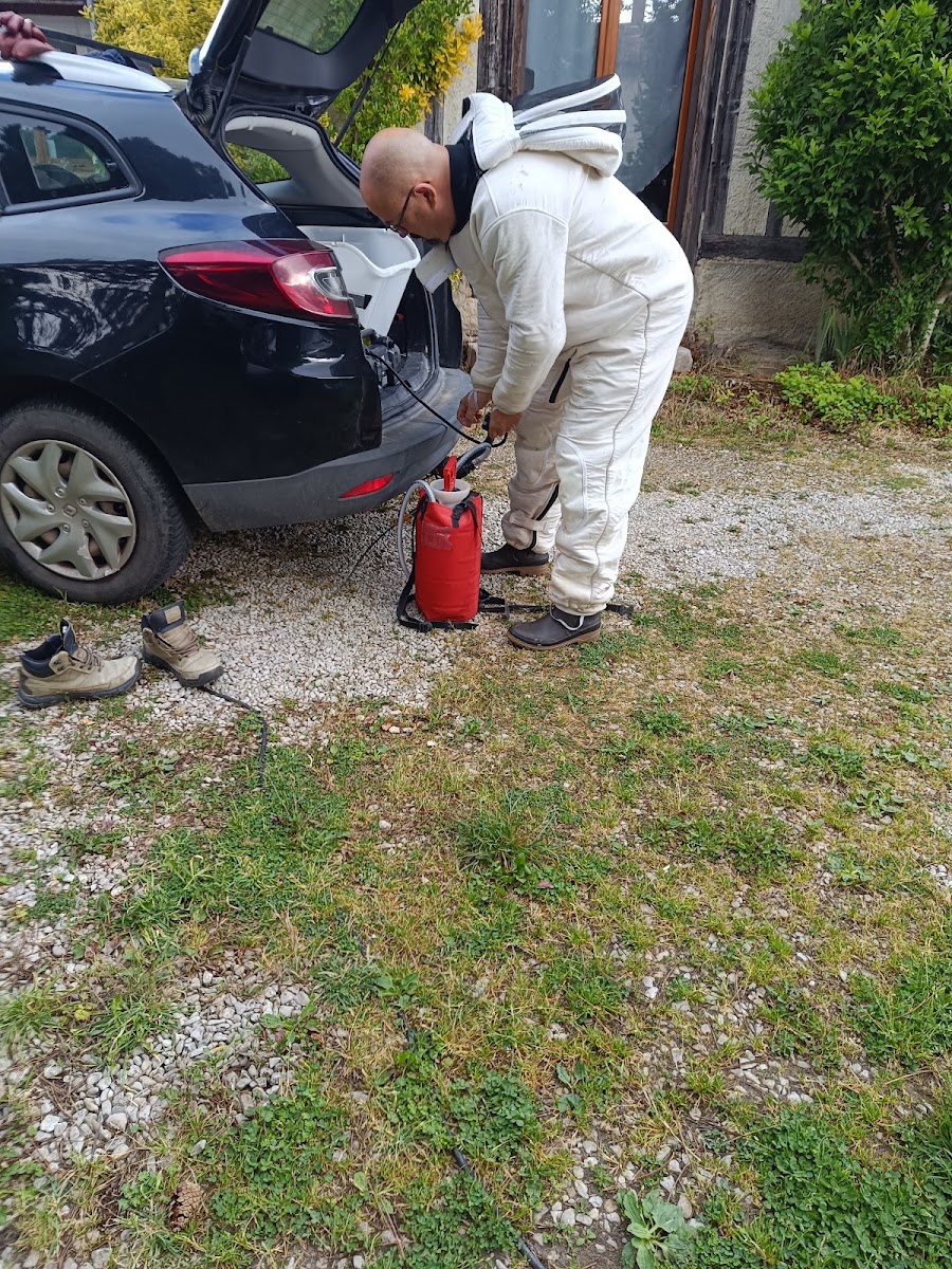 Professionnel en combinaison de protection près d'une habitation